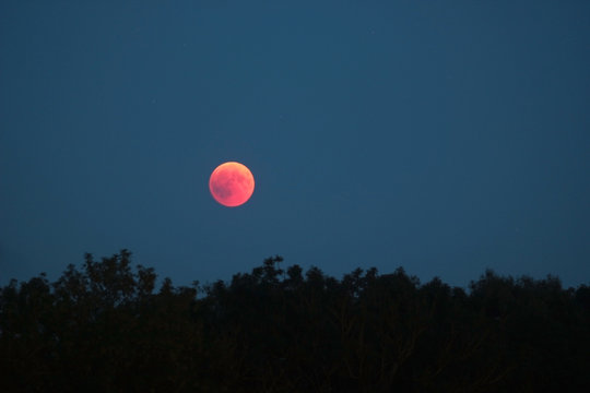 Fototapeta total lunar eclipse in July 2018, blood moon