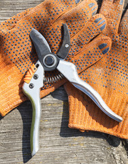Pruning shears and protective gloves