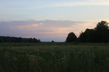  Evening in the meadow