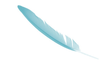 feather color turquoise emerald green on white background 