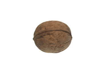 walnut isolated on white background