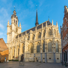 Fototapeta na wymiar View at the Basilica of Saint Martin in Halle - Belgium