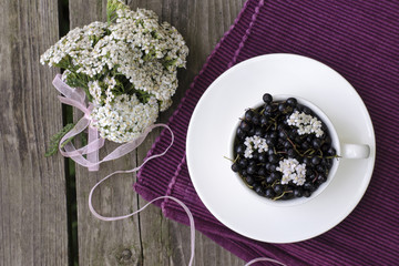 composition of medicinal plants