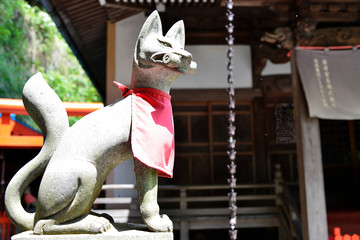 こま狐