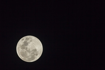 Full Moon Planet Detail Evening Night Sky