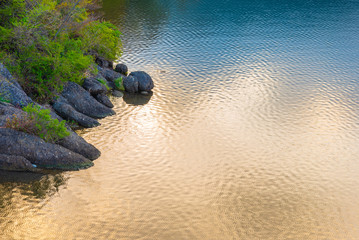 lake and grass on morning time.