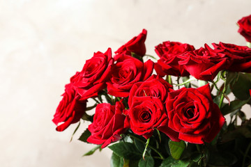 Beautiful red rose flowers on color background