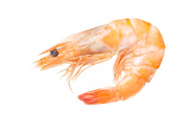 Shrimps. Prawns  on a White Background. Seafood