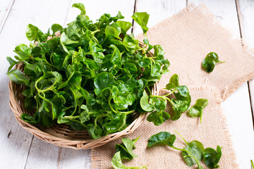 Fresh Watercress  on table background