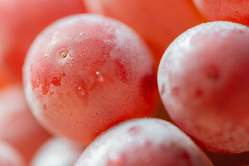 Bunches of fresh ripe red grapes