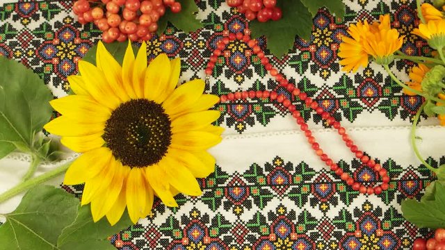 Ukrainian national folk motifs, sunflower against the background of the embroidered cloth, folkloristics