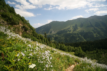 Fototapeta na wymiar View of the mountain ranges of Arkhyz.