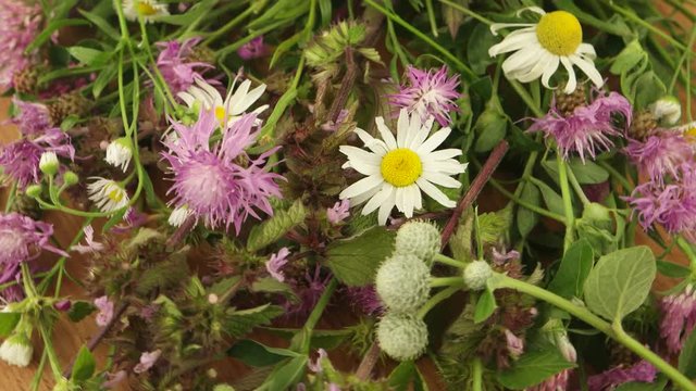 Summer wildflowers, background