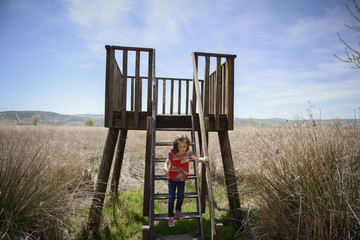 Fototapeta na wymiar Little girl climbing to a wooden observation tower in a wetland