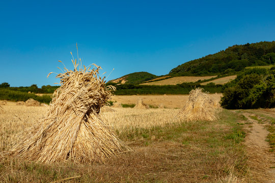 Seatown, Dorset, England