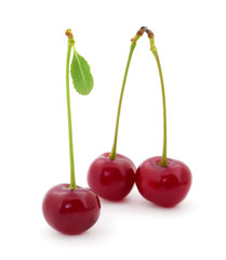 Red cherry isolated.