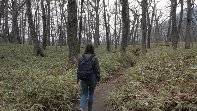 Girl hiking in nikko forest, japan