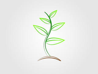 Fototapeta premium A colorful modern tree plant logo with thick and thin lines vector illustration