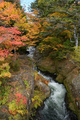 秋の竜頭ノ滝