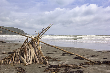 Typical of New Zealand is the many driftwood on the beaches