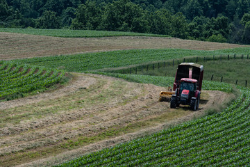 Fototapeta premium Farmer harvesting hay into silage wagon