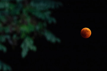 total lunar eclipse (red moon) of 27 July 2018