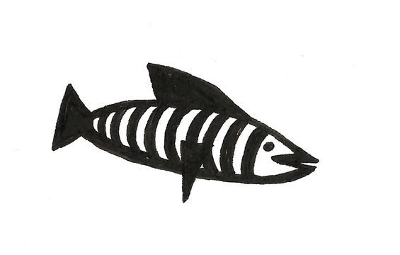 Hand drawn fish cartoon illustration 