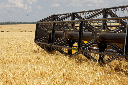 Combine harvests wheat on a field in sunny summer day