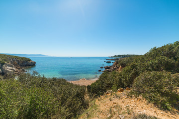 Green vegetation by a small cove in Alghero coastline