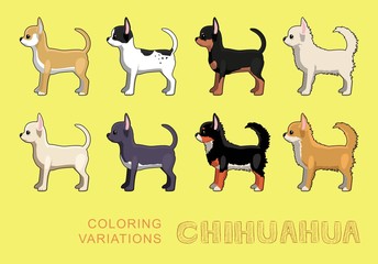 Dog Chihuahua Coloring Variations Vector Illustration
