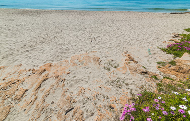 White sand and rocks in Le Bombarde beach in Alghero