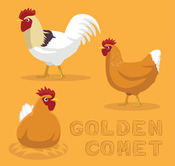 Chicken Golden Comet Cartoon Vector Illustration