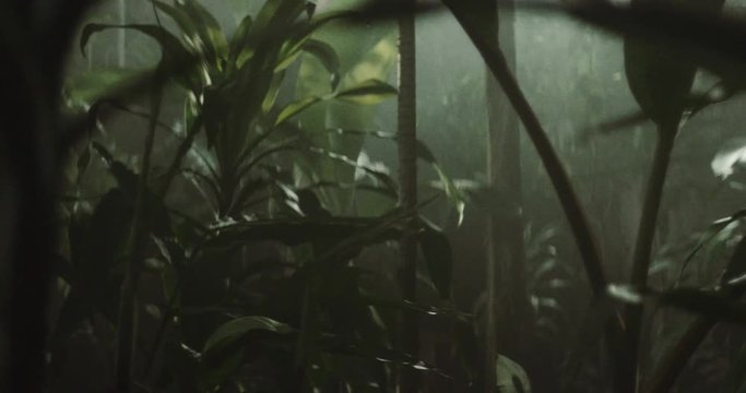 Shot on Red 6k 85fps