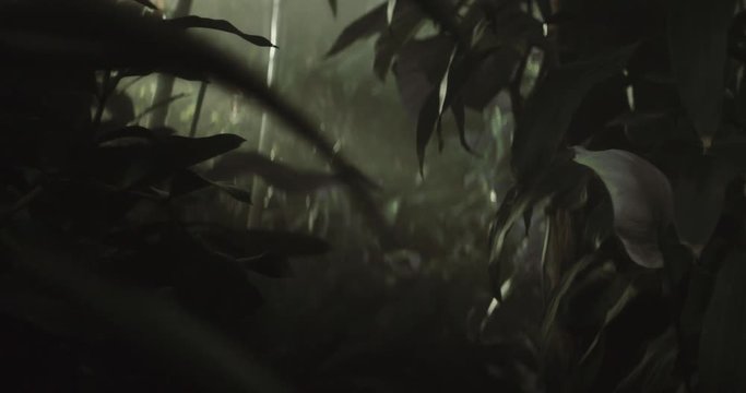 Shot on Red 6k 85fps