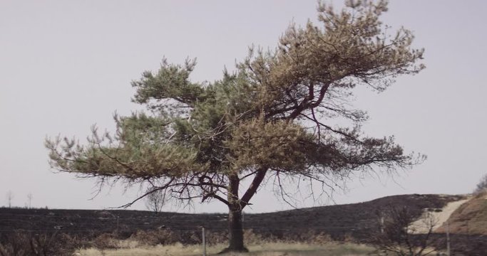 Shot on Red 6k 85fps