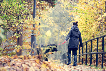 Autumnal walk with the dog.Young woman strolls with a big Newfoundland dog. Shallow depth of field and instagram filtering.