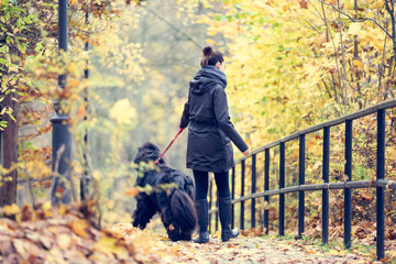 Autumnal walk with the dog.Young woman strolls with a big Newfoundland dog. Shallow depth of field and instagram filtering.