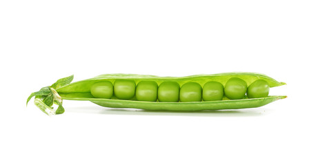 one pea pod on white background