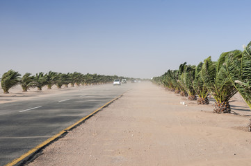 Sandstorm on the Trans Kalahari Highway / Sandstorm on the Trans-Kalahari Highway between Walvis Bay and Swakopmund, Namibia, Africa.