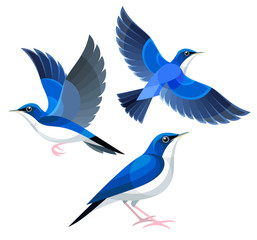 Stylized Birds - Siberian Blue Robin