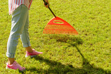 Woman using rake to clean up garden lawn