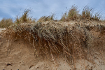 Sand Dune Blue Sky