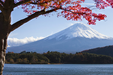 Colorful Autumn in Mount Fuji Japan - Lake Kawaguchiko is one of the best places in Japan