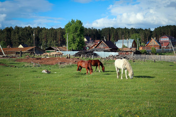 Plakat Countryside life style, South Ural, Russia