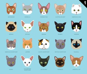 Fototapeta premium Cat Faces Icon Cartoon 1