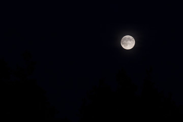 Naklejka na ściany i meble supermoon dark picture, late summer night, really big moon 