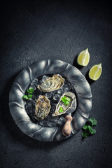 Oysters with lemons and coriander on dark table