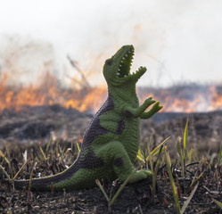 Dinosaur model in the burning field
