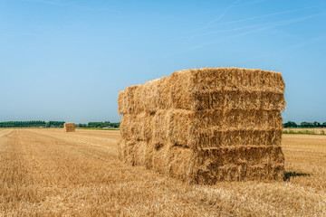 Bales of straw piled high on a wheat stubble field