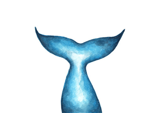 recommend clip art: Hand painted Mermaid tail. Silhouette of whale tail, Fish tail, watercolor illustration